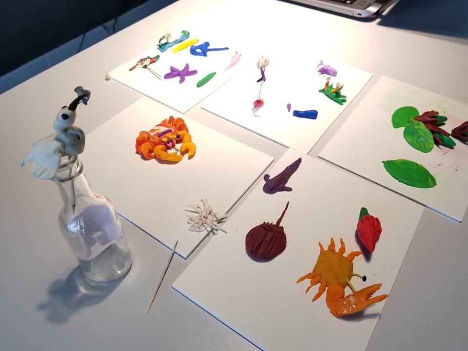 可持續大嶼辦事處在「生物多樣性節2018」中舉辦了工作坊和導賞團，透過手工藝製作及東涌河生態導賞，推廣大嶼山自然保育的重要性。